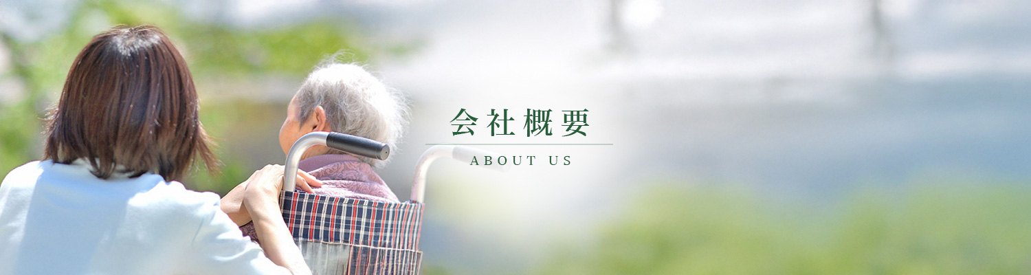 車椅子の高齢者に寄り添い散歩する介護スタッフ｜ヘルパーステーションいちご 会社概要