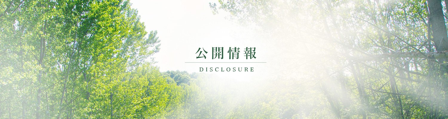 木漏れ日のさす新緑の森｜ヘルパーステーションいちご 公開情報